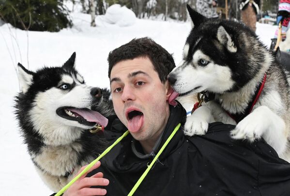 كلبان يحيطان بالممثل آرام فارديفانيان، ويلعقان خده خلال رحلة قام بها إلى التايغا كجزء من مهرجان "روح النار" الدولي الرابع والعشرين للأفلام الروائية الأولى في مانسيسك. - سبوتنيك عربي