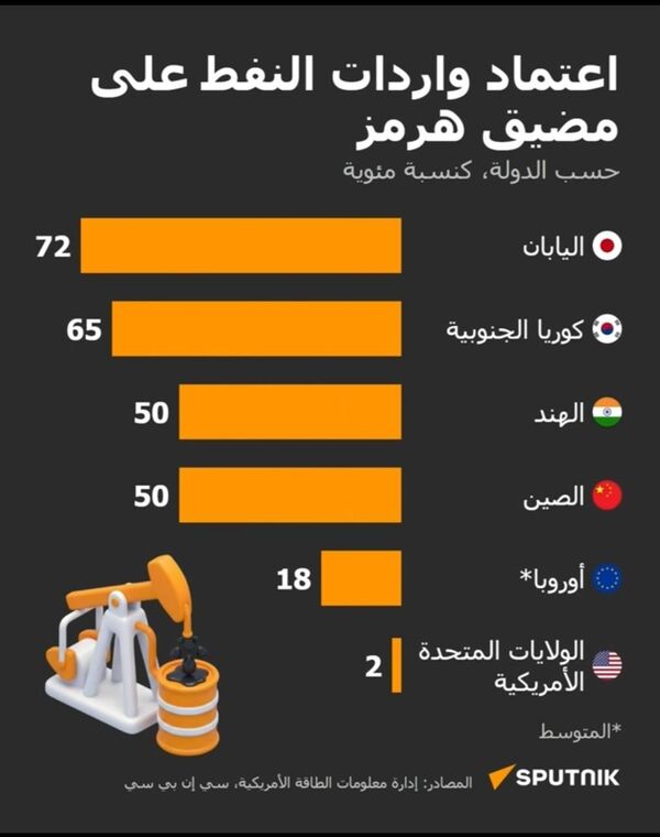 اعتماد واردات النفط عبر مضيق هرمز اعتماد واردات النفط عبر مضيق هرمز - سبوتنيك عربي