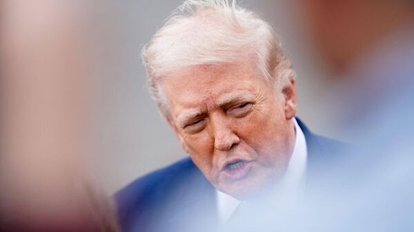 الرئيس الأمريكي، دونالد ترامب - سبوتنيك عربي