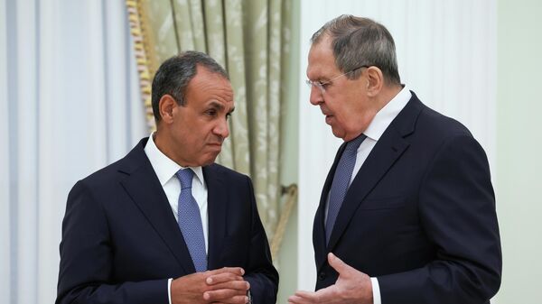 بوتين يستقبل وزير الخارجية المصري بدر عبد العاطي  - سبوتنيك عربي