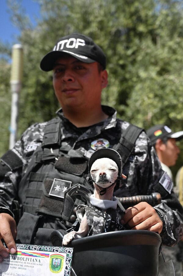 شرطي يحمل كلبه بعد مشاركته في مسابقة نظمتها الشرطة البوليفية لتشجيع الرعاية المسؤولة للحيوانات الأليفة. لاباز، بوليفيا، 28 مارس 2026 - سبوتنيك عربي