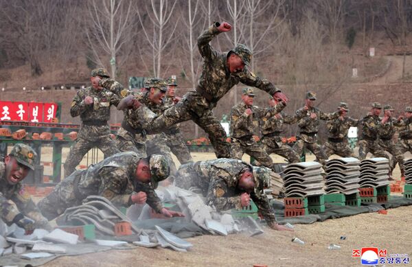 صورة تظهر قاعدة تدريب لجنود العمليات الخاصة في كوريا الديمقراطية الشعبية. - سبوتنيك عربي