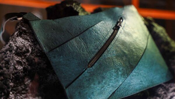  - سبوتنيك عربي