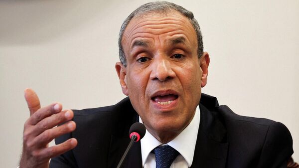 وزير الخارجية المصري، بدر عبد العاطي - سبوتنيك عربي