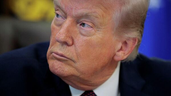 الرئيس الأمريكي، دونالد ترامب - سبوتنيك عربي