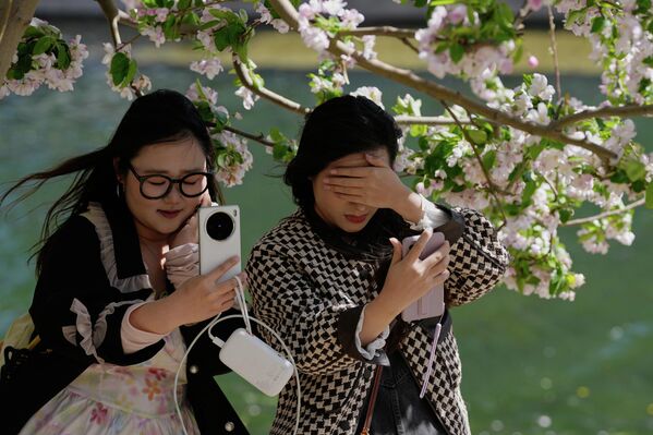 نساء يتفاعلن مع الرياح أثناء التقاطهن صور "سيلفي" مع أزهار الكرز على طول ضفة نهر في حديقة عامة في بكين. - سبوتنيك عربي