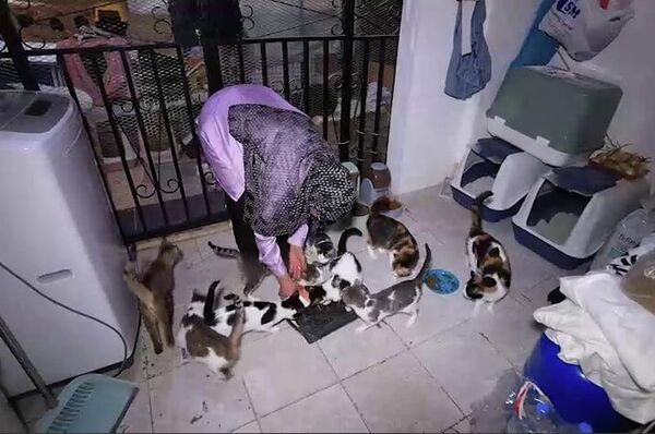 سيدة لبنانية تنقذ عشرات القطط من جحيم الحرب  - سبوتنيك عربي