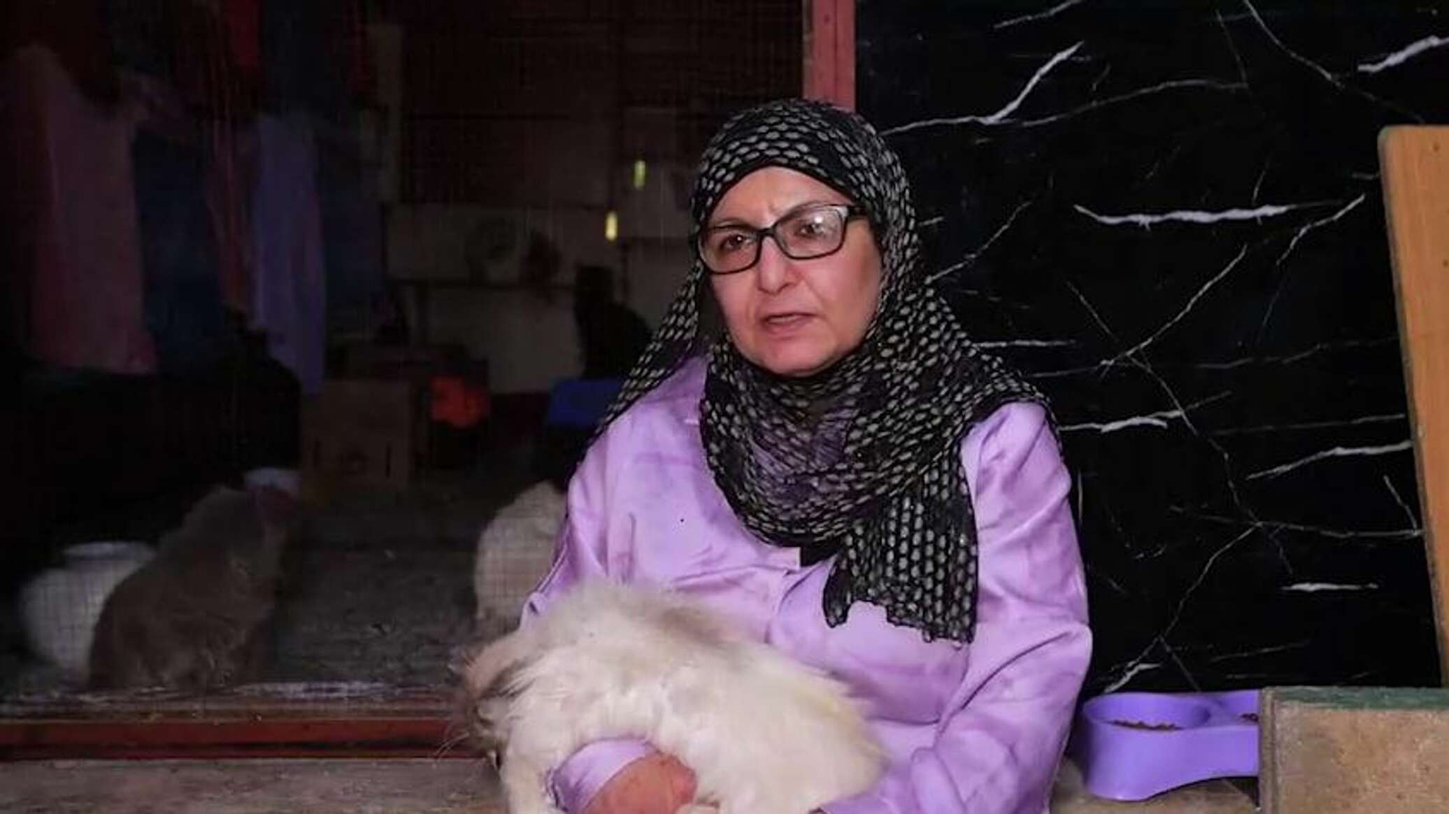 بين القصف والنجاة... سيدة لبنانية تنقذ عشرات القطط من جحيم الحرب