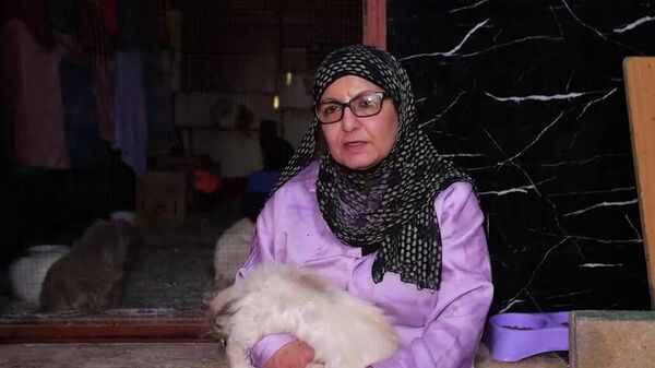  - سبوتنيك عربي