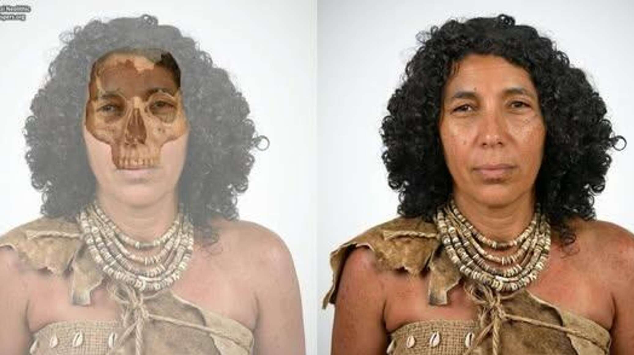 علماء يعيدون إحياء وجه امرأة عاشت في المغرب قبل أكثر من 6 آلاف عام.. فيديو