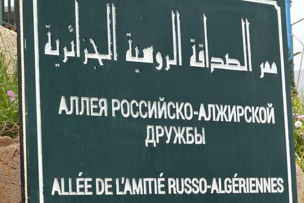 “حديقة الذاكرة”… حين تلتقي الجذور بالتاريخ لتعزيز الصداقة الجزائرية الروسية 2026 - سبوتنيك عربي