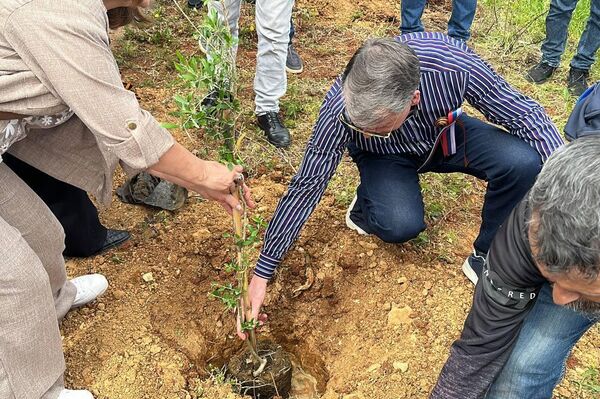 “حديقة الذاكرة”… حين تلتقي الجذور بالتاريخ لتعزيز الصداقة الجزائرية الروسية 2026 - سبوتنيك عربي