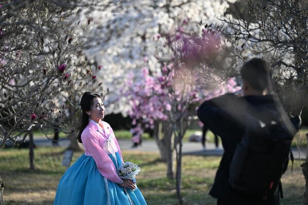 شاب يلتقط صورة لفتاة ترتدي ألوانًا زاهية وتقف وسط أشجار مزهرة باللونين الأبيض والزهري، في الحديقة النباتية في بيونغ يانغ. - سبوتنيك عربي