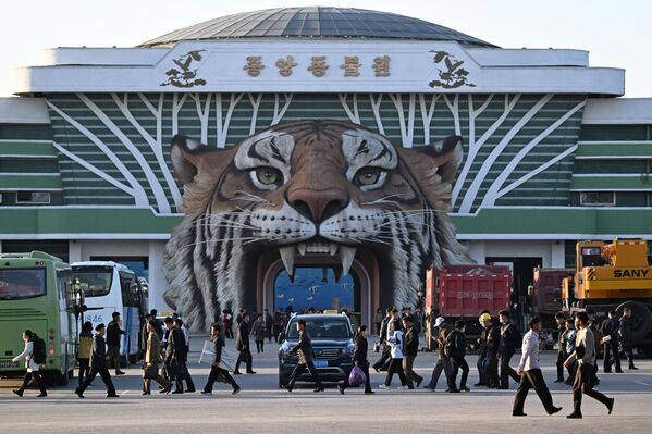 صورة تظهر توافد عدد كبير من الزوار إلى حديقة حيوان بيونغ يانغ المركزية. - سبوتنيك عربي