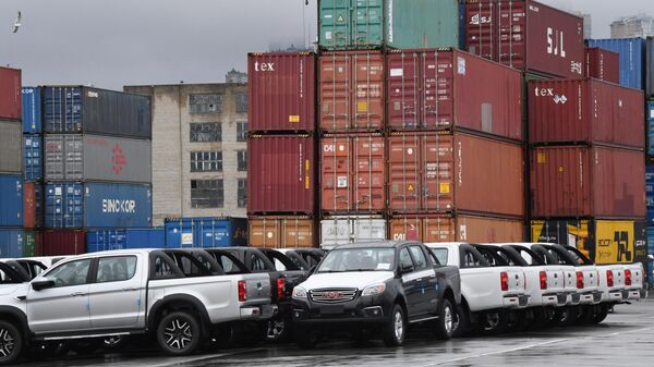 ميناء فلاديفوستوك التجاري - سبوتنيك عربي