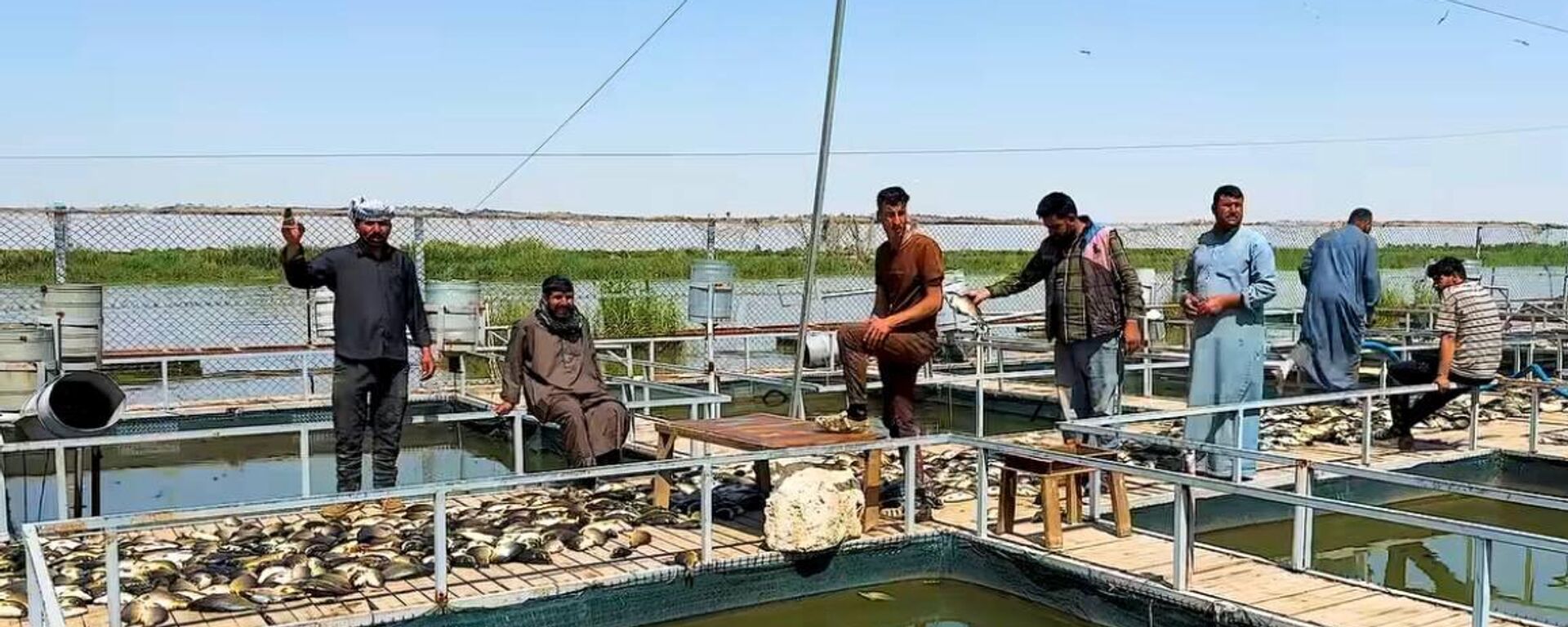 بعد كارثة الأسماك… وزير الموارد المائية العراقي يكشف تطورات تلوث نهر دجلة - سبوتنيك عربي, 1920, 15.04.2026