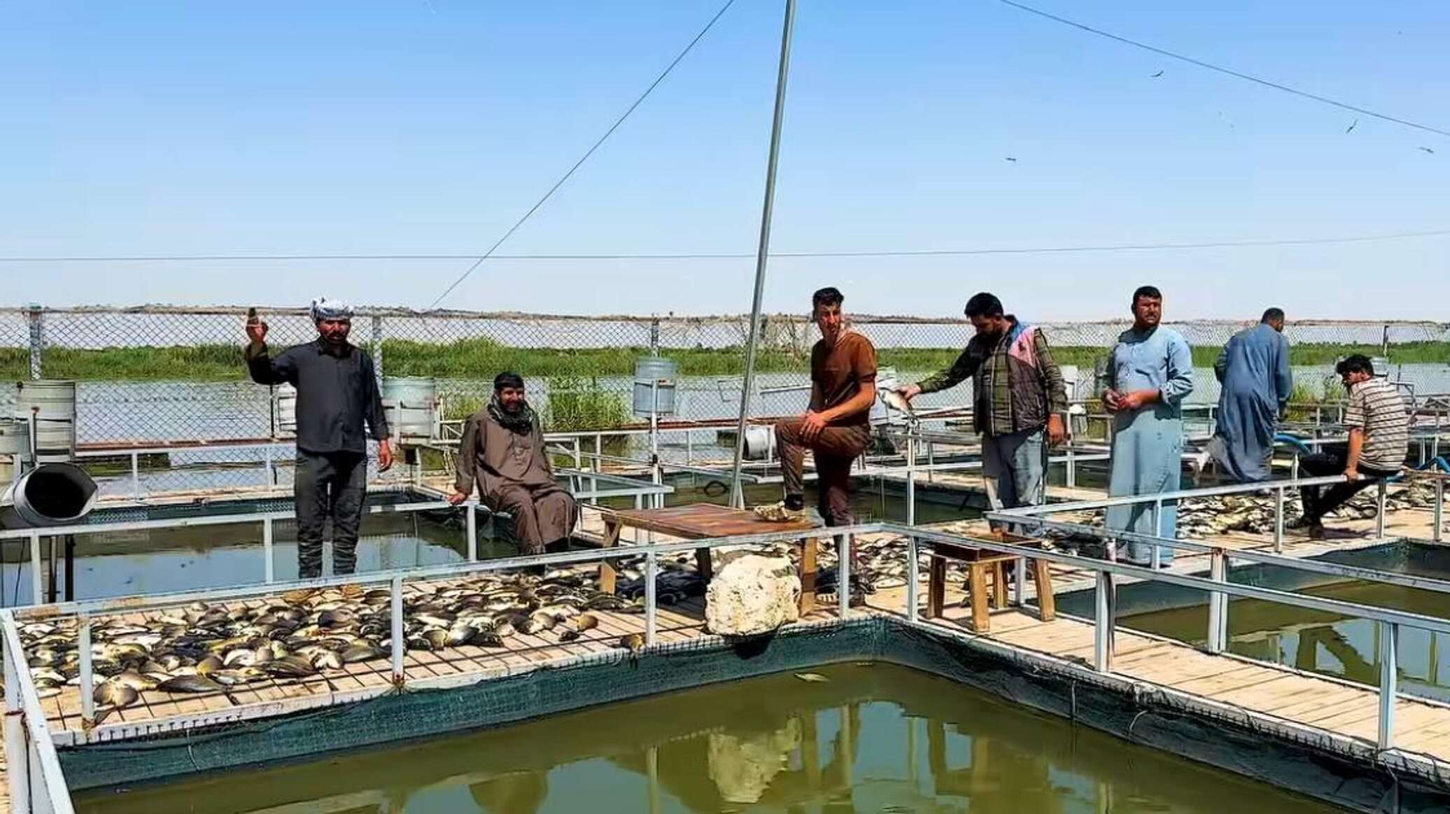 بعد كارثة الأسماك… وزير الموارد المائية العراقي يكشف تطورات تلوث نهر دجلة