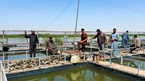  - سبوتنيك عربي