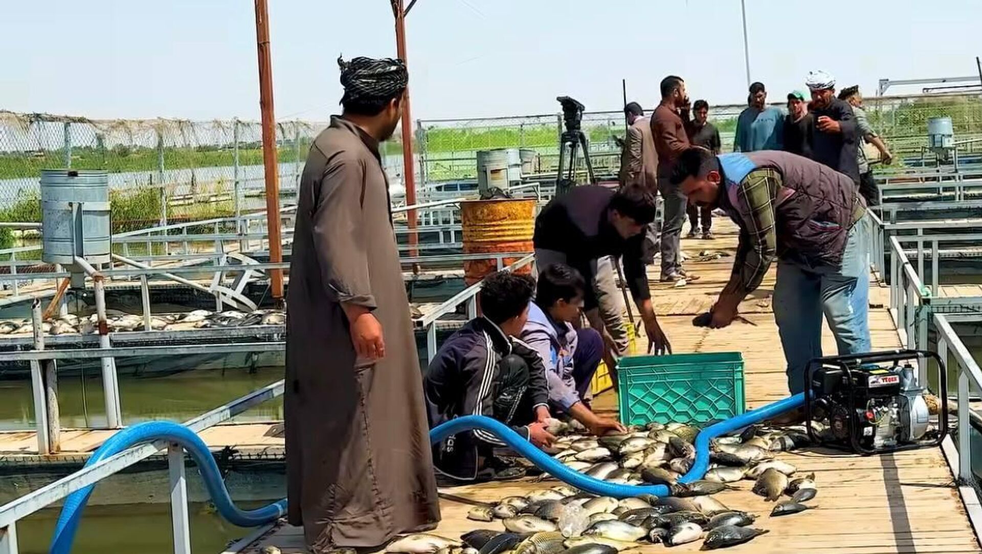 بعد كارثة الأسماك… وزير الموارد المائية العراقي يكشف تطورات تلوث نهر دجلة - سبوتنيك عربي, 1920, 14.04.2026