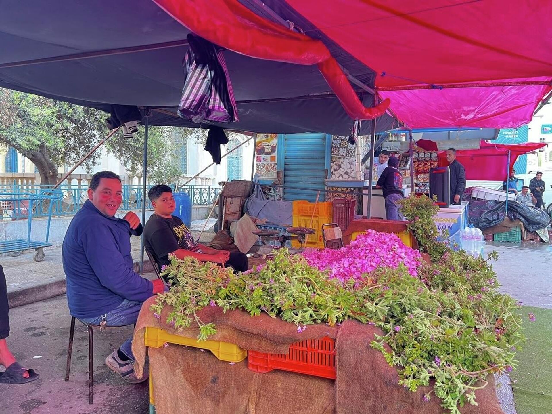 من الحقول تونس إلى القوارير.. تقطير الورد حرفة تقليدية تتوارثها النساء من الحقول تونس إلى القوارير.. تقطير الورد حرفة تقليدية تتوارثها النساء - سبوتنيك عربي, 1920, 15.04.2026