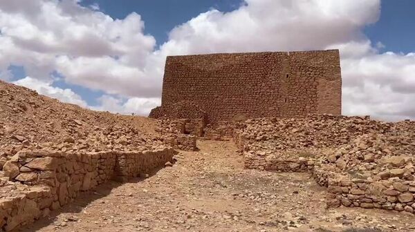  - سبوتنيك عربي