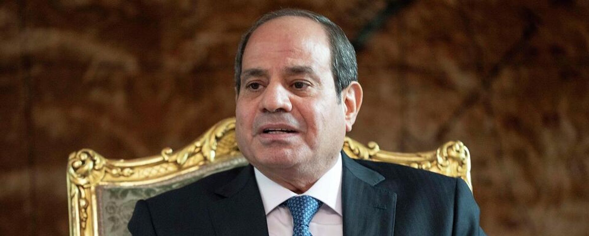 الرئيس المصري، عبد الفتاح السيسي - سبوتنيك عربي, 1920, 19.04.2026