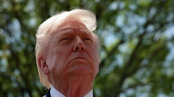 الرئيس الأمريكي، دونالد ترامب - سبوتنيك عربي