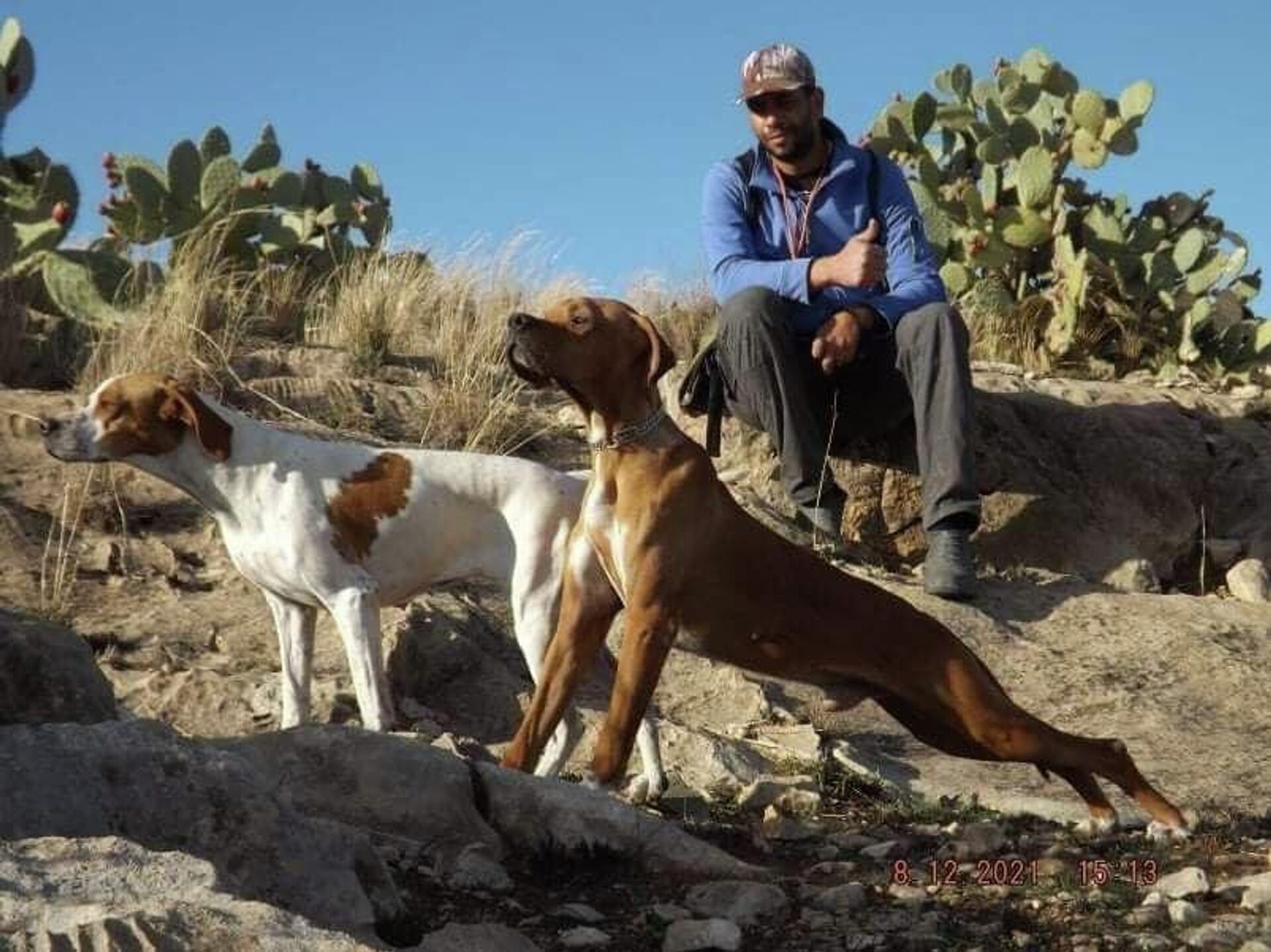 صداقة من نوع خاص... ذئب جريح يتحول إلى فرد من عائلة فلاح شمالي تونس - سبوتنيك عربي, 1920, 20.04.2026