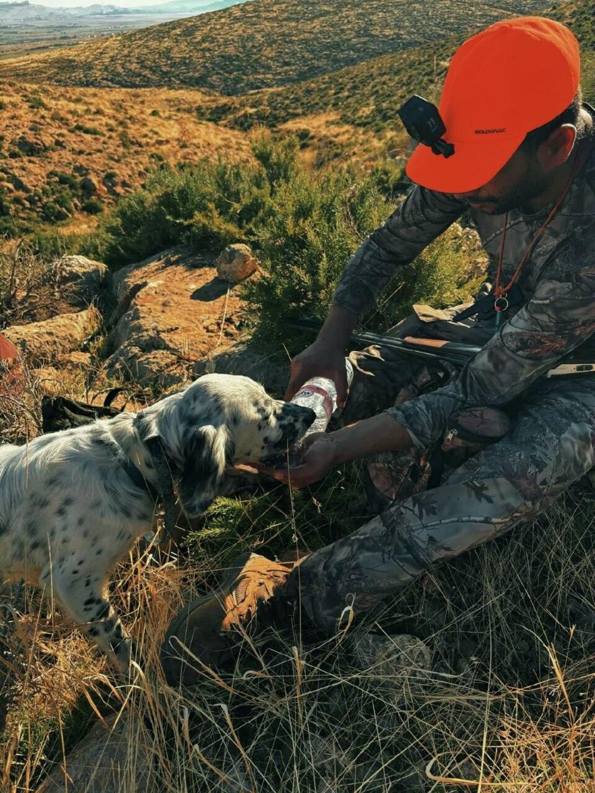 صداقة من نوع خاص... ذئب جريح يتحول إلى فرد من عائلة فلاح شمالي تونس - سبوتنيك عربي, 1920, 20.04.2026