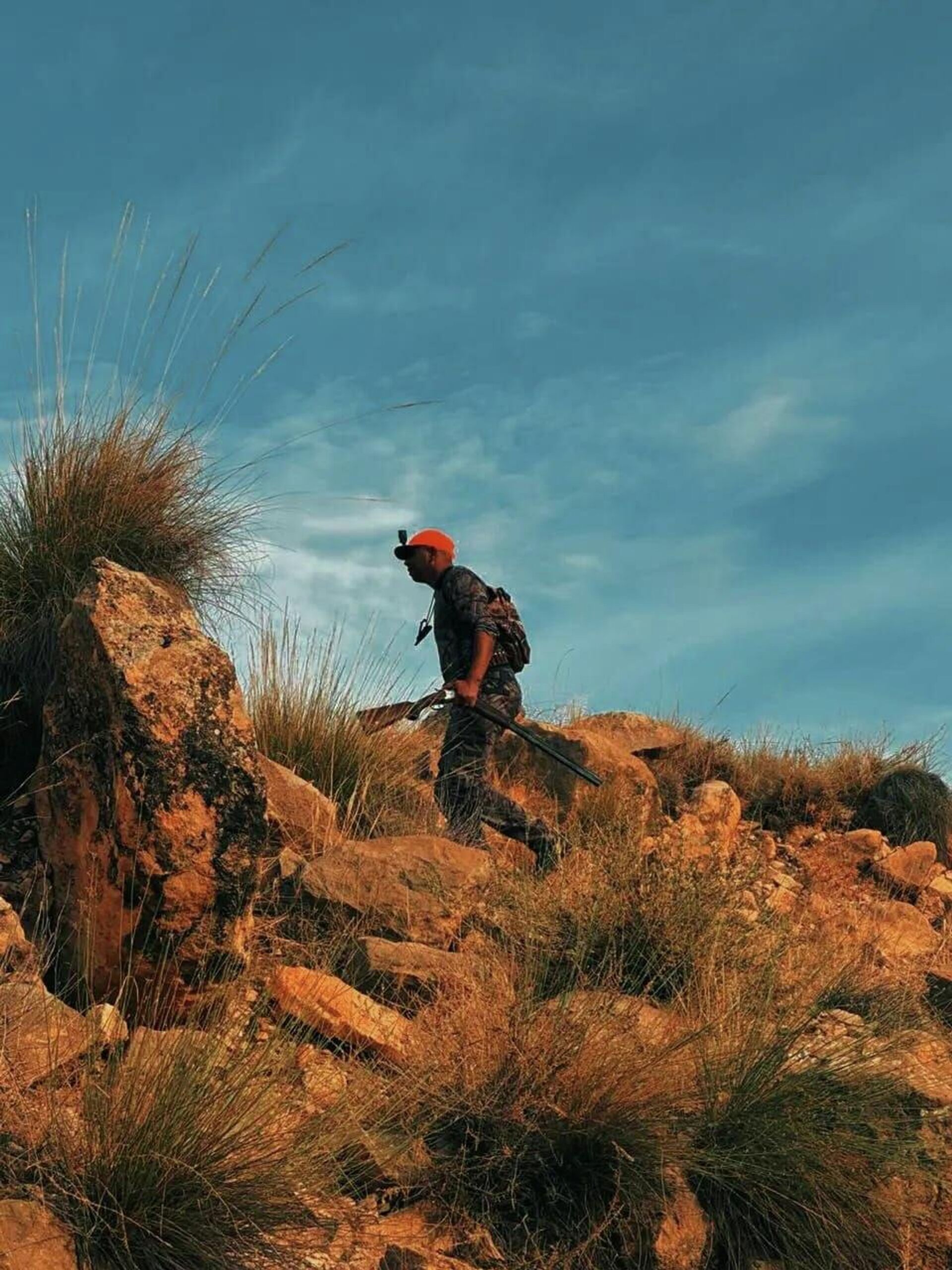 صداقة من نوع خاص... ذئب جريح يتحول إلى فرد من عائلة فلاح شمالي تونس - سبوتنيك عربي, 1920, 20.04.2026