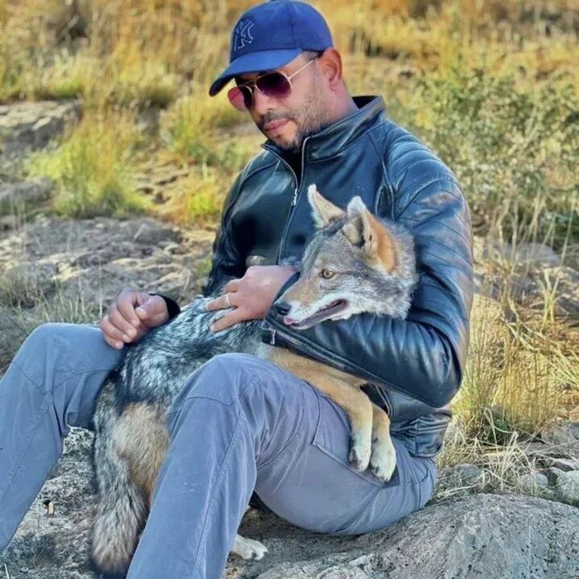 صداقة من نوع خاص... ذئب جريح يتحول إلى فرد من عائلة فلاح شمالي تونس - سبوتنيك عربي, 1920, 20.04.2026