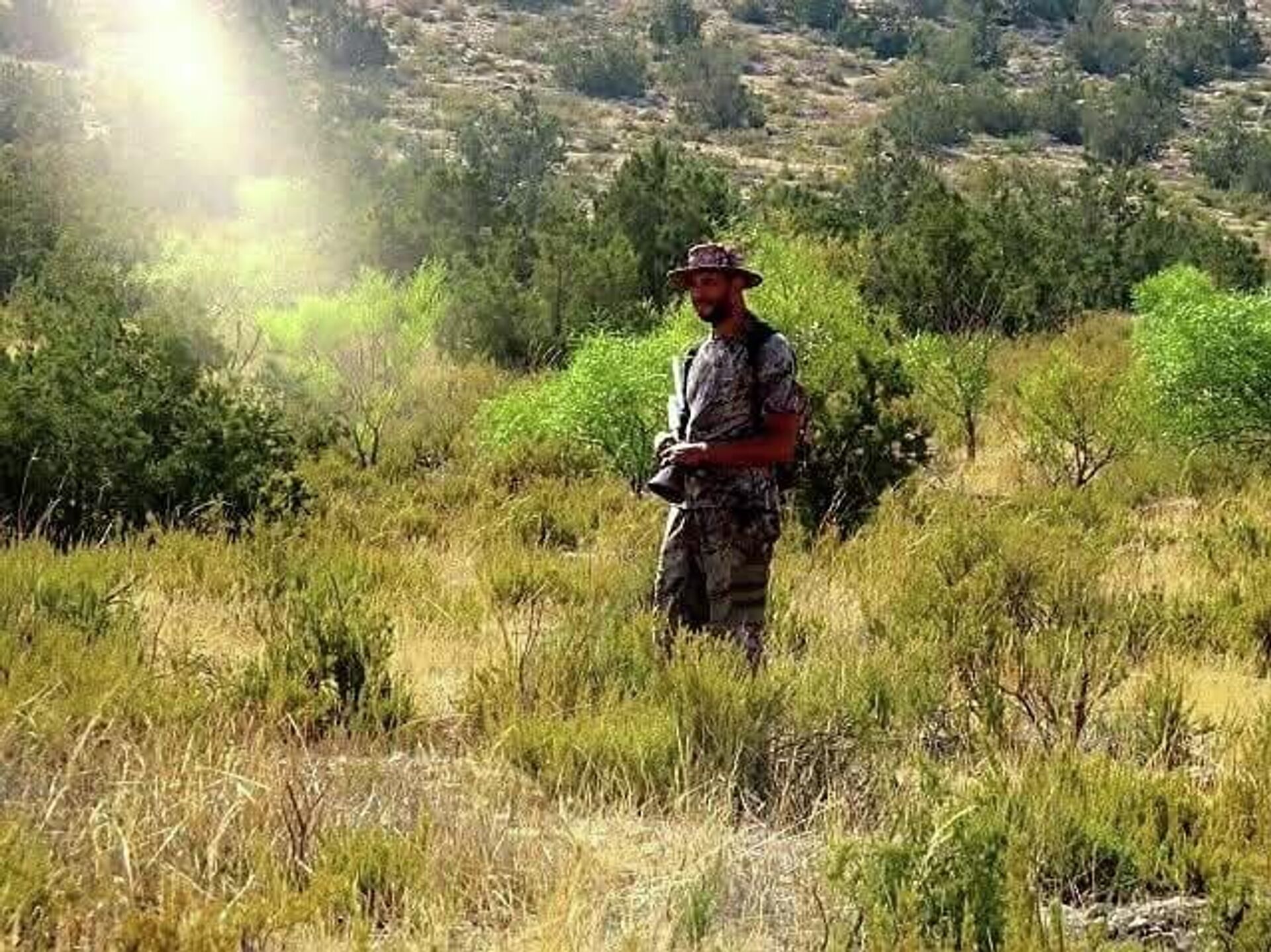 صداقة من نوع خاص... ذئب جريح يتحول إلى فرد من عائلة فلاح شمالي تونس - سبوتنيك عربي, 1920, 20.04.2026