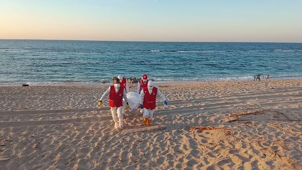  - سبوتنيك عربي