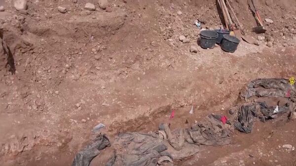  - سبوتنيك عربي