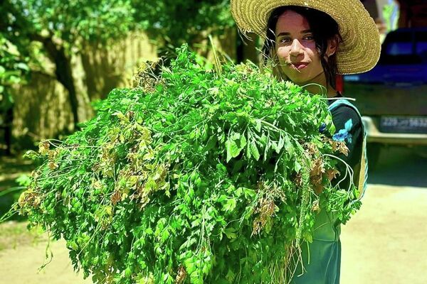 &quot;ضيعة عجب&quot;.. أول مزرعة &quot;بيداغوجية&quot; في تونس تزخر بالحيوانات النادرة - سبوتنيك عربي