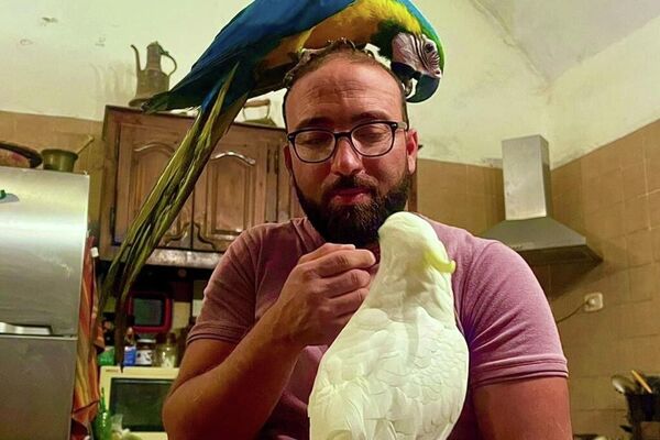 &quot;ضيعة عجب&quot;.. أول مزرعة &quot;بيداغوجية&quot; في تونس تزخر بالحيوانات النادرة - سبوتنيك عربي