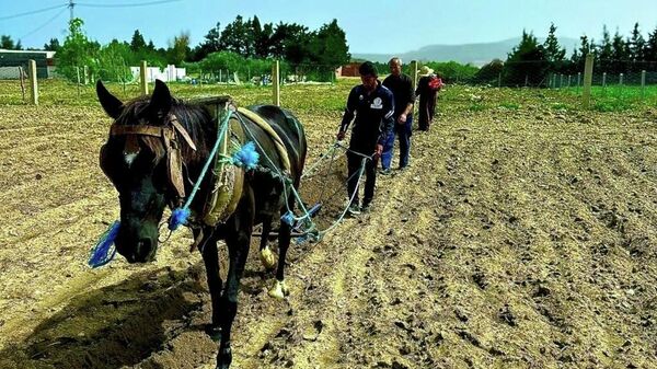 ضيعة عجب.. أول ضيعة بيداغوجية في تونس تزخر بالحيوانات النادرة - سبوتنيك عربي