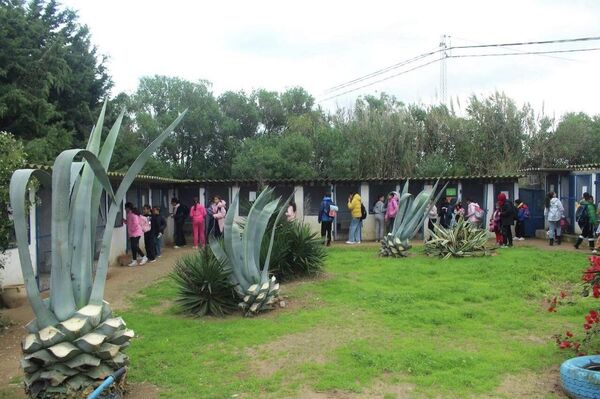 &quot;ضيعة عجب&quot;.. أول مزرعة &quot;بيداغوجية&quot; في تونس تزخر بالحيوانات النادرة - سبوتنيك عربي