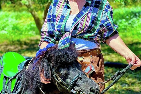 &quot;ضيعة عجب&quot;.. أول مزرعة &quot;بيداغوجية&quot; في تونس تزخر بالحيوانات النادرة - سبوتنيك عربي