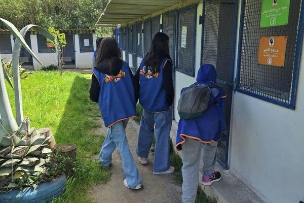 &quot;ضيعة عجب&quot;.. أول مزرعة &quot;بيداغوجية&quot; في تونس تزخر بالحيوانات النادرة - سبوتنيك عربي