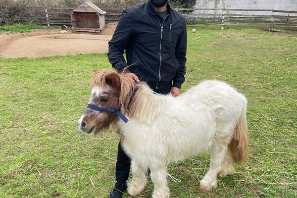 &quot;ضيعة عجب&quot;.. أول مزرعة &quot;بيداغوجية&quot; في تونس تزخر بالحيوانات النادرة - سبوتنيك عربي