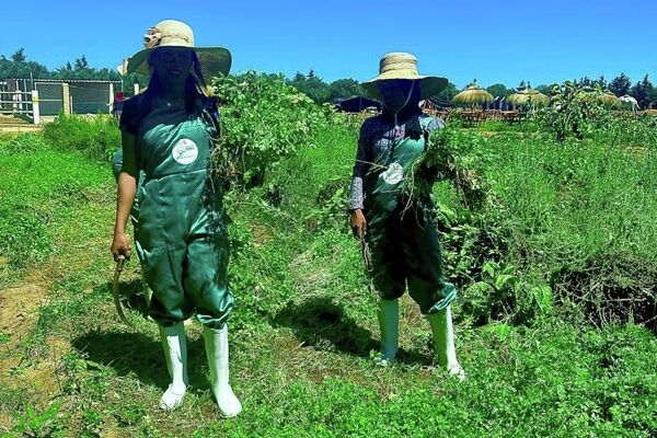 &quot;ضيعة عجب&quot;.. أول مزرعة &quot;بيداغوجية&quot; في تونس تزخر بالحيوانات النادرة - سبوتنيك عربي