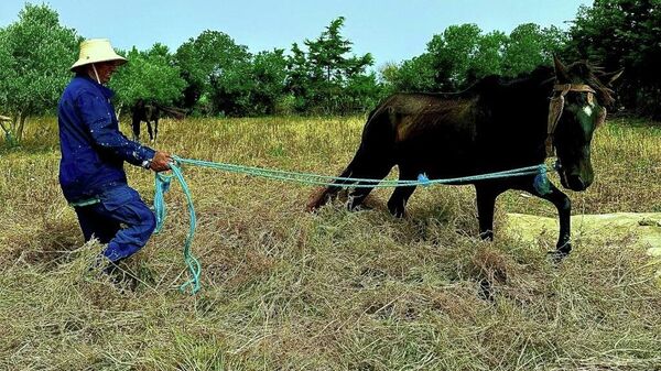  - سبوتنيك عربي