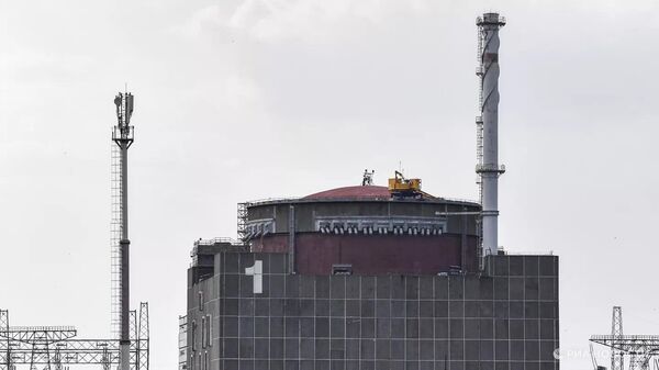 محطة زاباروجيه للطاقة النووية  - سبوتنيك عربي