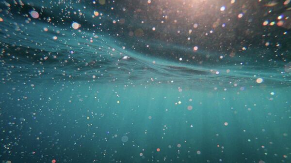  - سبوتنيك عربي