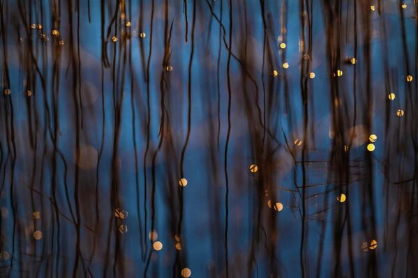  بيات أوزوالد، يوثّق بعدسته شظايا من الضوء، قصب، وبريق الشمس المتراقص ينعكس في المياه الزرقاء الباردة لبحيرة شتارنبرغ في ألمانيا. - سبوتنيك عربي