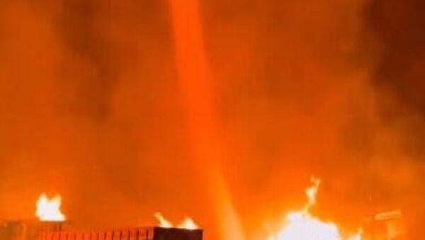  - سبوتنيك عربي