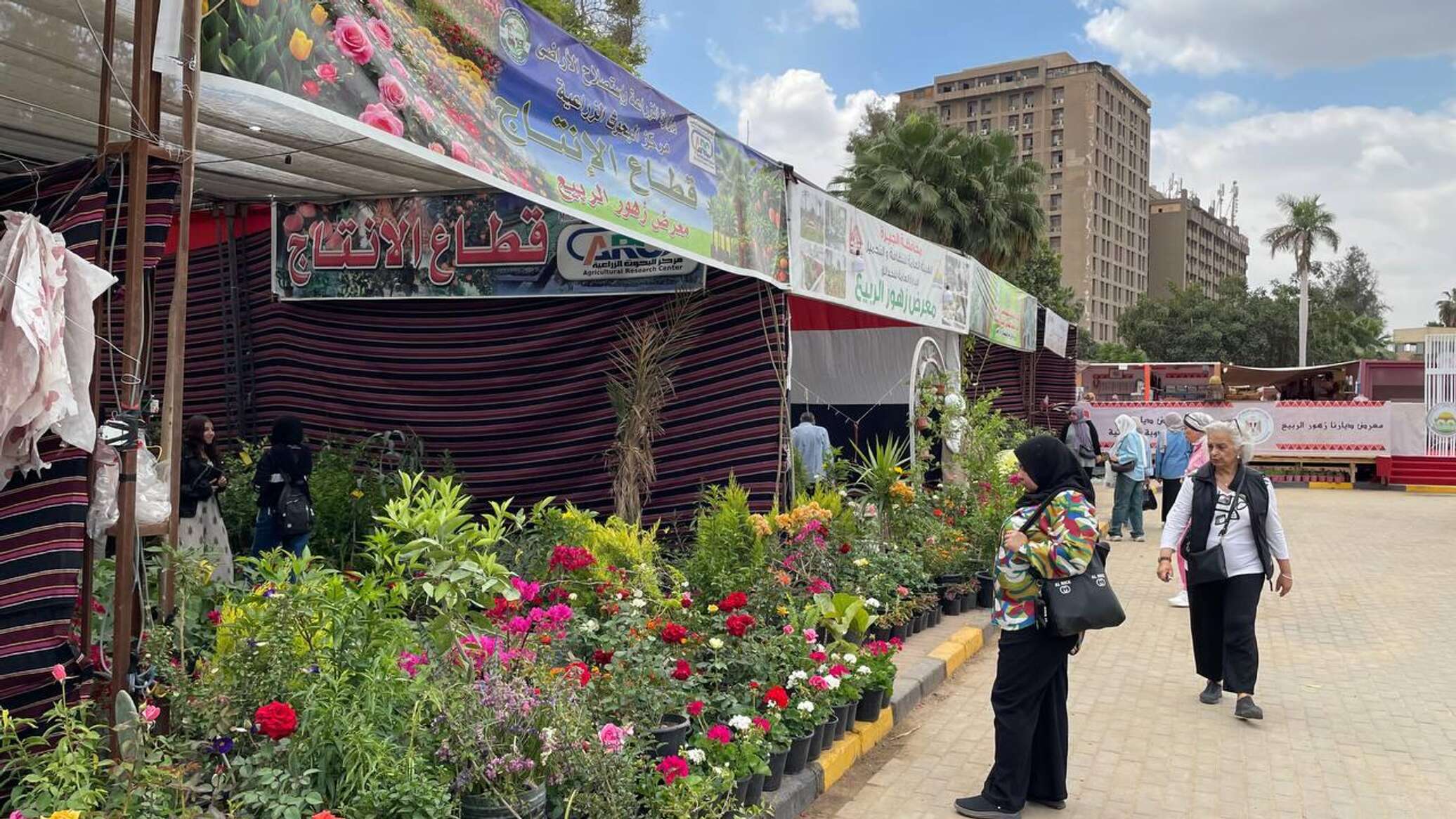 عدسة "سبوتنيك" توثق سحر "زهور الربيع 2026".. مسؤول: صناعة كبرى تدعم الاقتصاد المصري.. صور