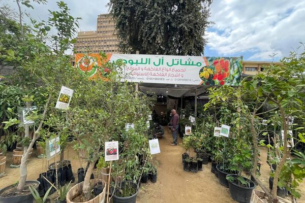 عدسة &quot;سبوتنيك&quot; توثق سحر &quot;زهور الربيع 2026&quot; بالمتحف الزراعي.. مسؤول: صناعة كبرى تدعم الاقتصاد المصري، مايو 2026 - سبوتنيك عربي
