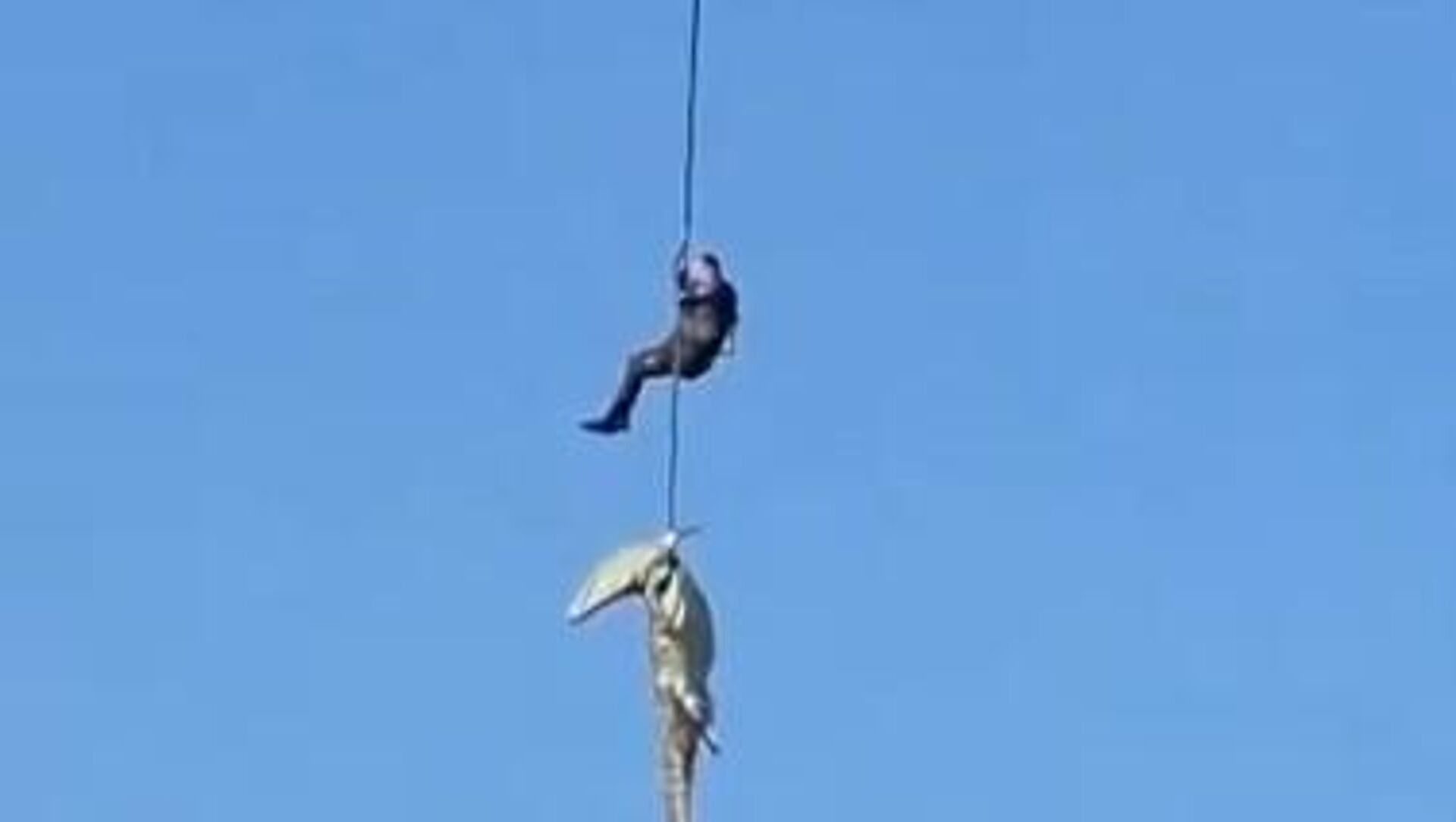نقل رفات بشرية داخل تمساح بعد تخديره خلال عملية بحث عن رجل مفقود قرب نهر كوماتي - سبوتنيك عربي, 1920, 05.05.2026